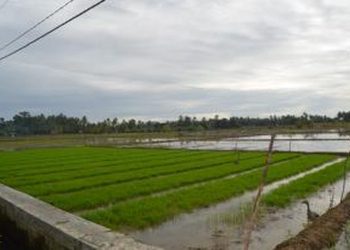 MITOS NAGA PENJAGA SUMBER AIR TERAKHIR